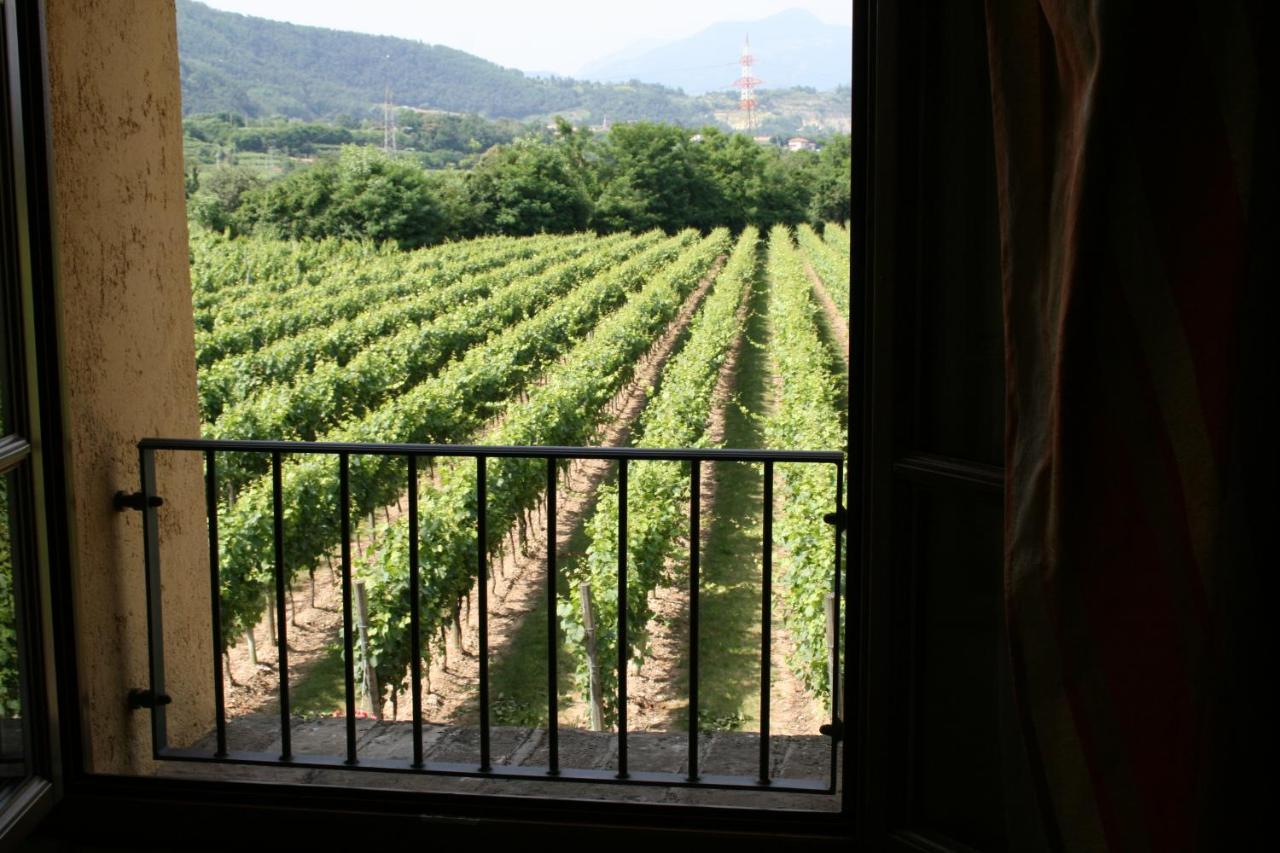 Agriturismo Ripa Del Bosco Capriolo Luaran gambar
