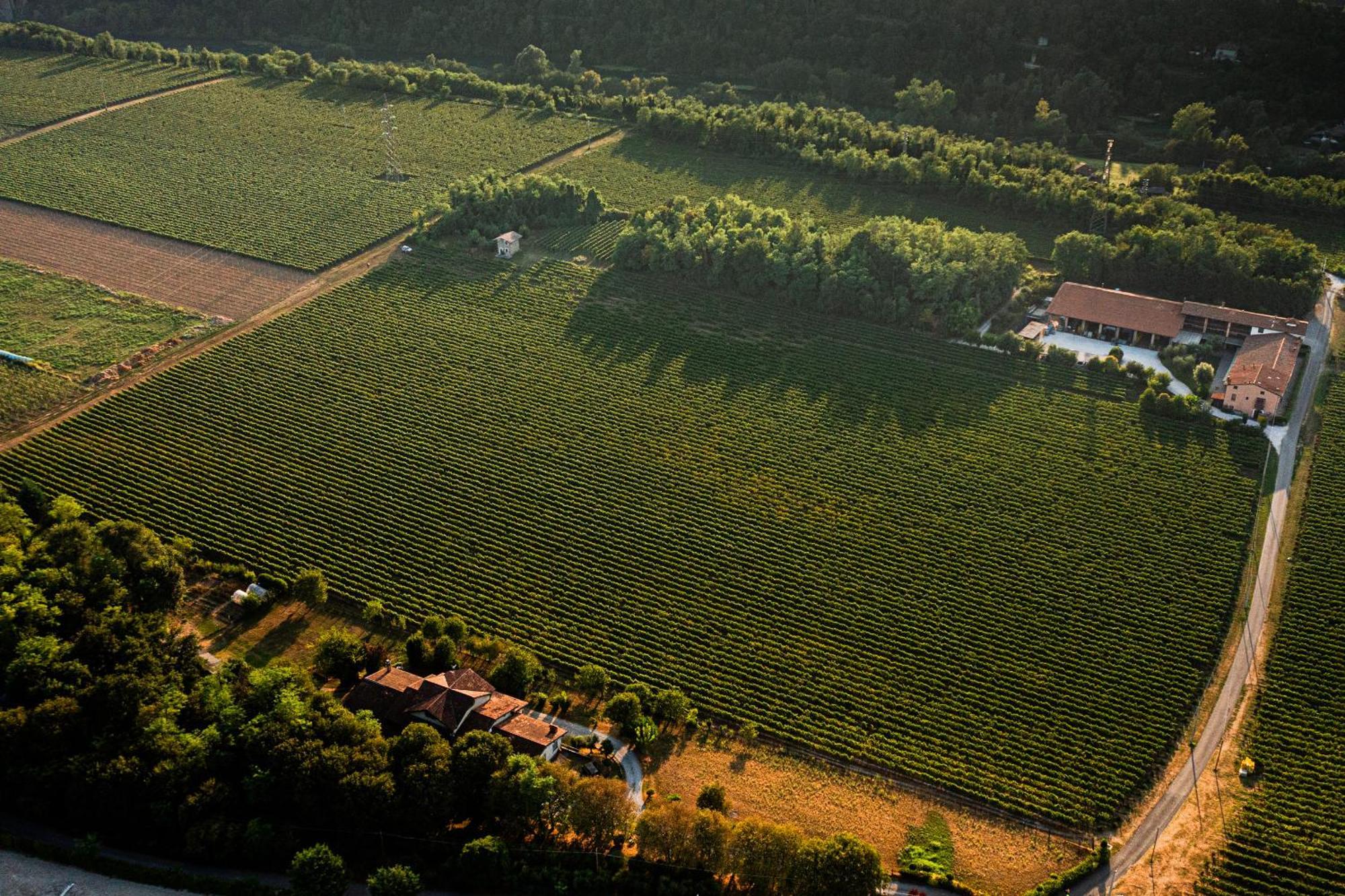 Agriturismo Ripa Del Bosco Capriolo Luaran gambar