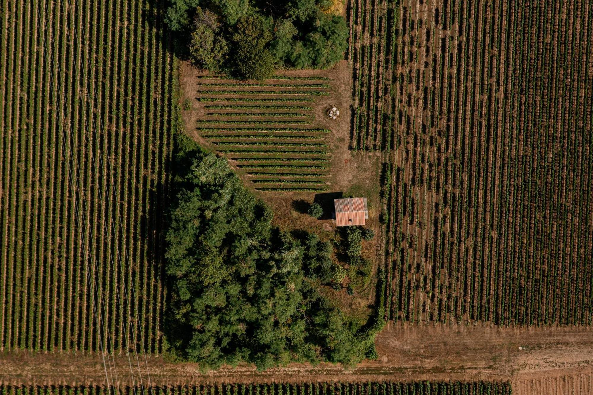 Agriturismo Ripa Del Bosco Capriolo Luaran gambar
